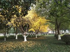 -昆山城市公园