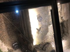 -元代水闸遗址博物馆