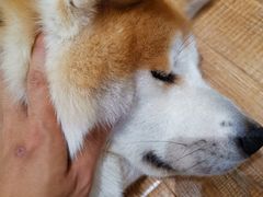 -YCHL Studios健身工作室(市二宫店)