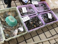 -蛇口市场