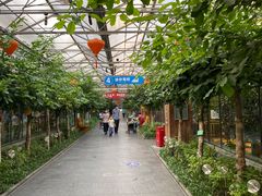 -南宫五洲植物乐园