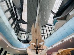 -中国（海南）南海博物馆