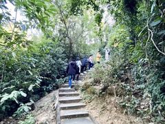 -火炉山森林公园