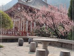 -华清宫景区