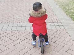 -稚马儿童平衡车自行车俱乐部