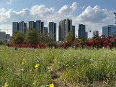 -光明小镇欢乐田园