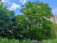 -成都市活水公园