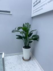 -悟空祛痘·诺奖技术专业店