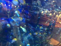 -迪拜帆船酒店海底餐厅