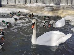 -新疆天山野生动物园