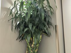 -品大三·南京菜(大行宫店)