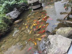 -绣园·茶食宴(湘绣博物馆店)