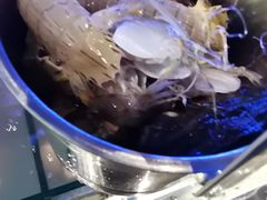 皮皮虾-海友荟•鲸彩(济宁爱琴海店)