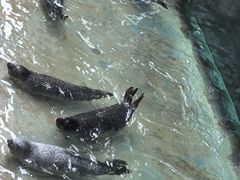 -蓬莱欧乐堡海洋极地世界