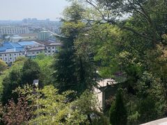 -孤山景区-孤山寺