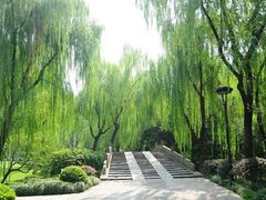 -柳浪闻莺公园