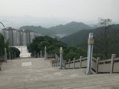 -铁山坪森林公园