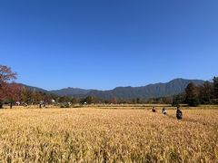 -塔川景区