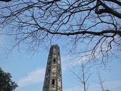 -上海佘山国家森林公园天马山园