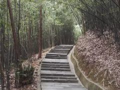 -大屏嶂森林公园