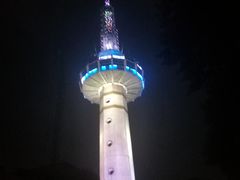 -老巷羊蝎子城(湘江世纪城店)