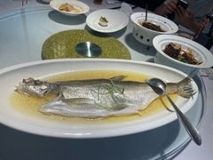-席家花园(巨鹿花园店)