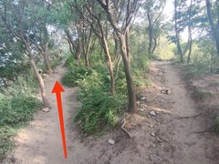 -阳台山自然风景区