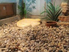 -石家庄市动物园