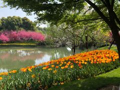 -圩墩遗址公园