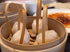 -金鼎轩(鸟巢北辰荟店)