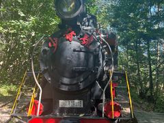 -五营红松林海景区