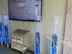 -苏州大学理想眼科医院