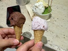 -鹤茶野所(上海首店)