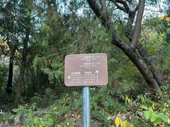 -静之湖度假区