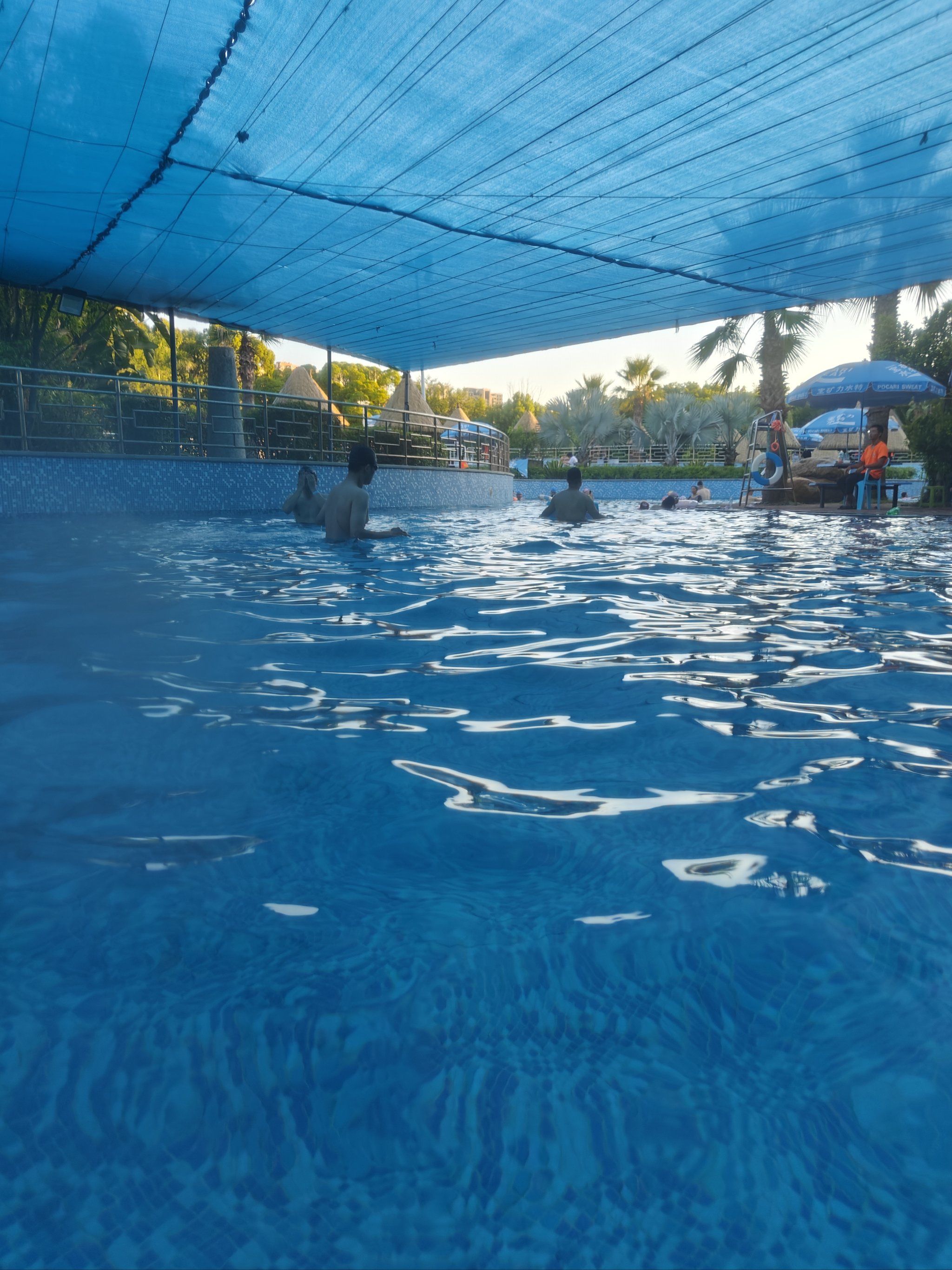 天天领红包 #五缘湾大众海水浴场 #没有游泳的夏天是不完整的 泳池