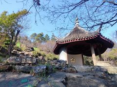 -香雪海