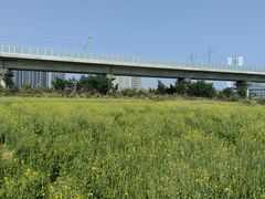 -光明小镇欢乐田园