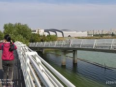 -贡湖湾湿地公园