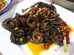 -龙小海荆沙鸽子店(瑞安街店)