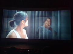 -万达影城(锦华万达广场IMAX店)