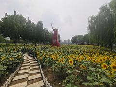 -廊坊文化艺术中心