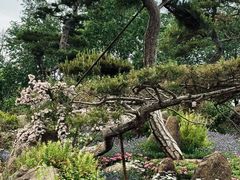 -罗红摄影艺术馆