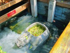 -三只耳火锅(宽窄巷子店)
