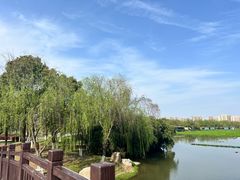 -洋湖国家湿地公园