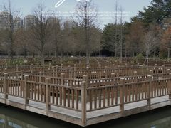 -五缘湾湿地公园