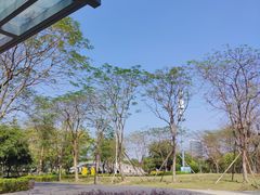 -顺峰山公园