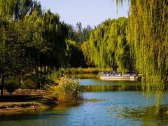 -大兴滨河森林公园