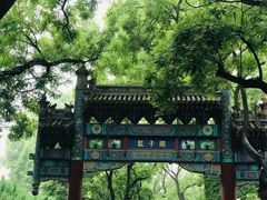 -北京国子监胡同