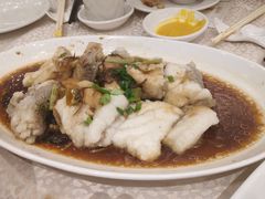 金银蒜蒸龙趸头腩-海港酒家(翔龙湾广场店)