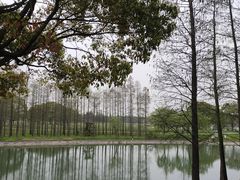 -东方绿舟景区